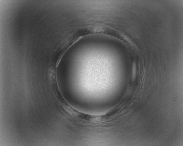 X0000070210521200605261255