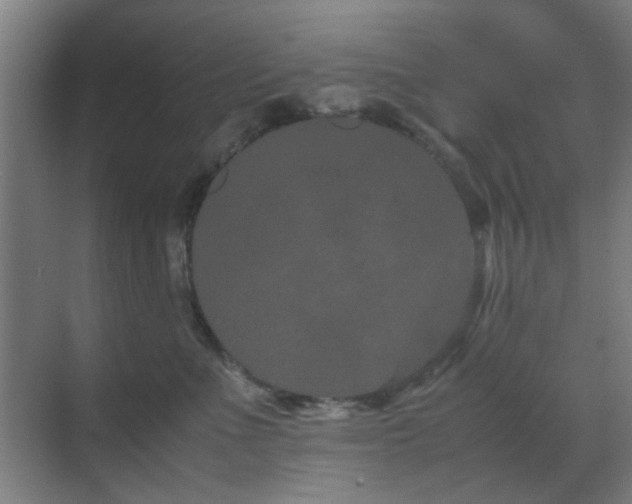 X0000070210523200605261255