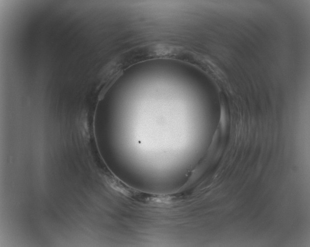 X0000070210524200605261255