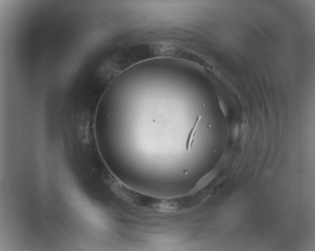 X0000070210525200605261255