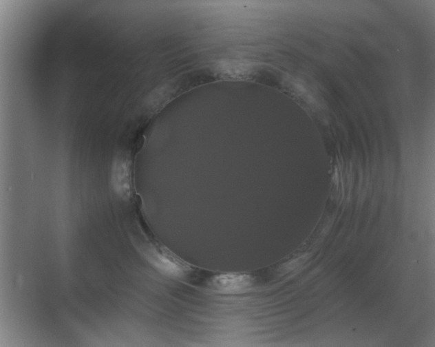 X0000070210526200605261255