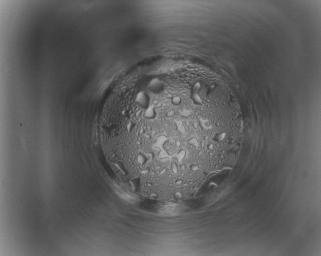 X0000070210527200605261255