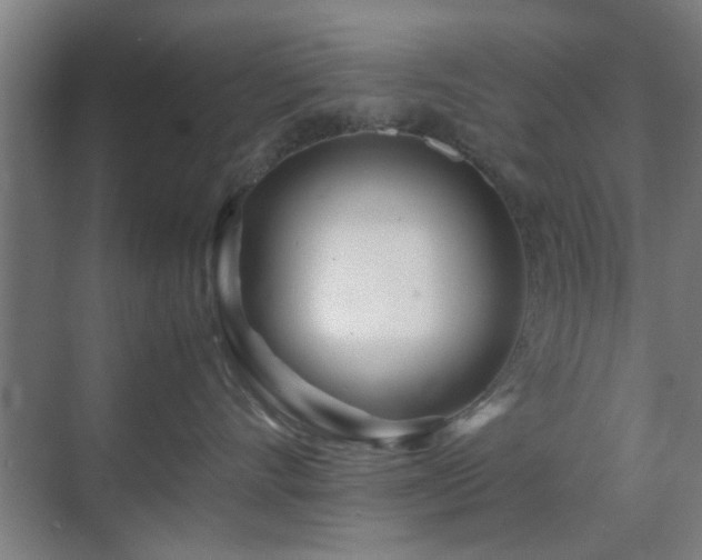 X0000070210528200605261255