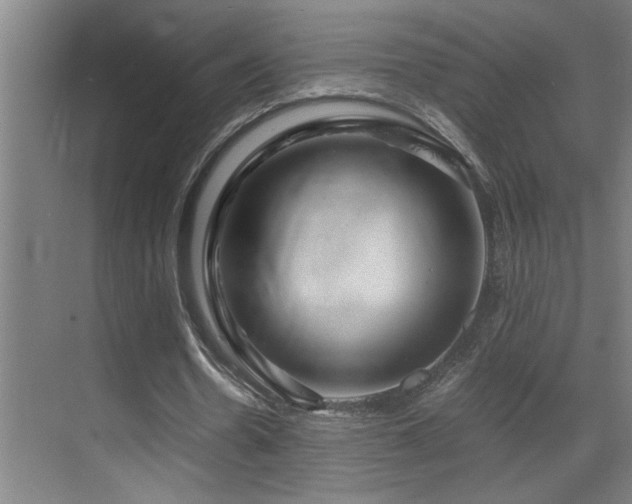 X0000070210530200605261254