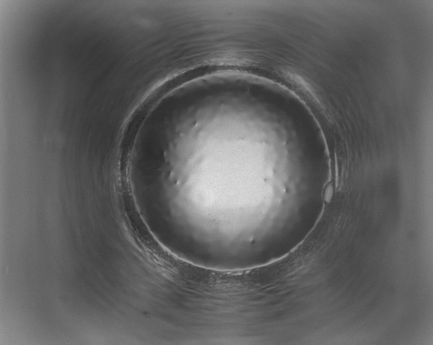 X0000070210531200605261254