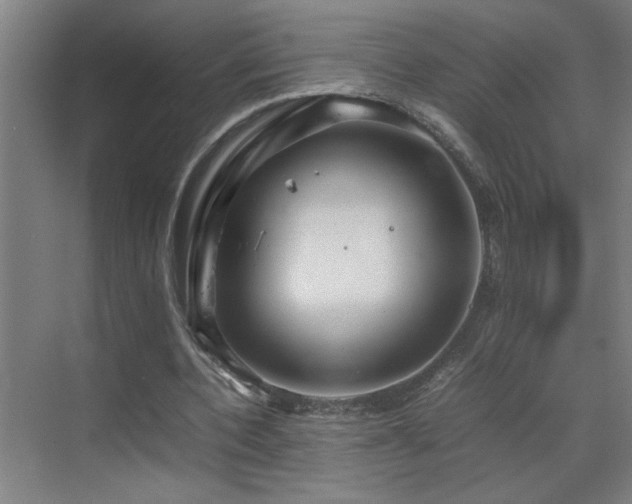 X0000070210532200605261254