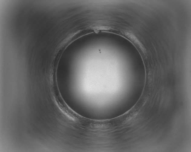 X0000070210533200605261254