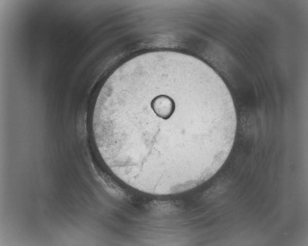 X0000070210534200605261254