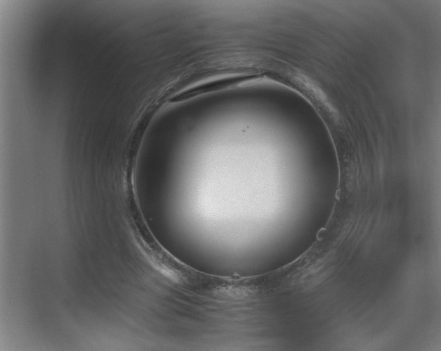 X0000070210537200605261254