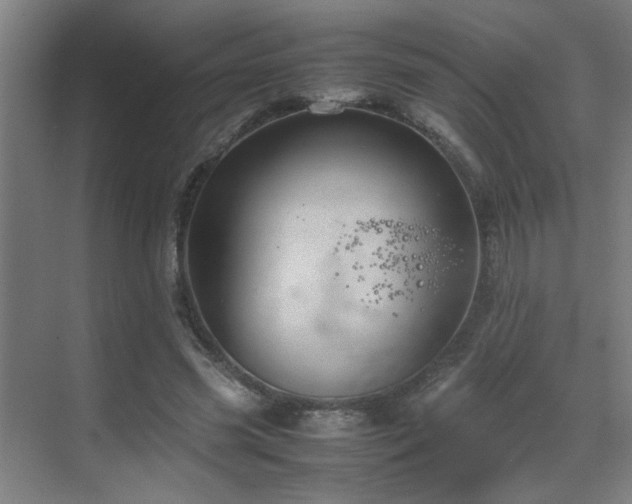 X0000070210541200605261254