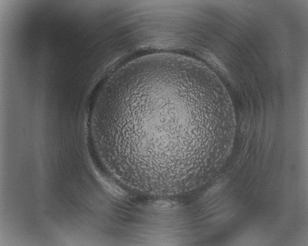 X0000070210542200605261254