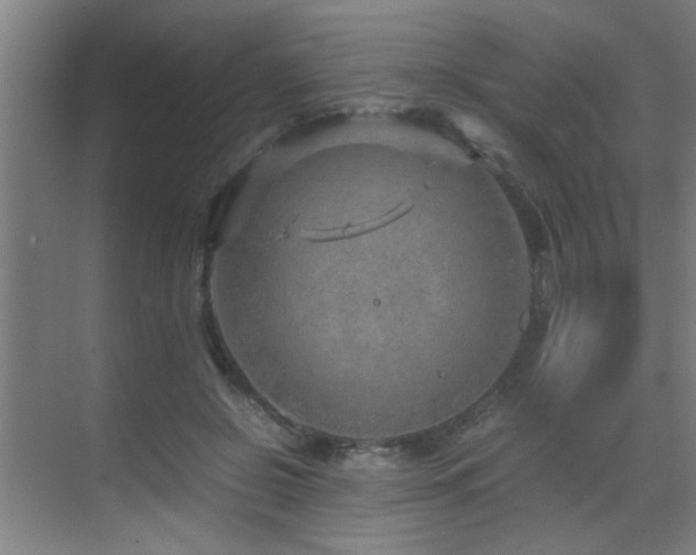 X0000070210550200605261255