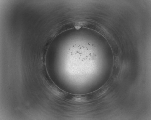 X0000070210557200605261255