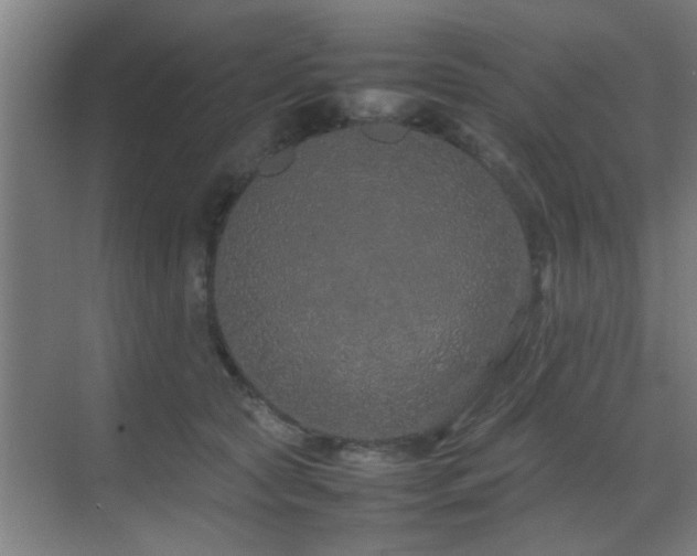 X0000070210561200605261255