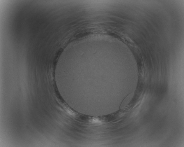 X0000070210565200605261255