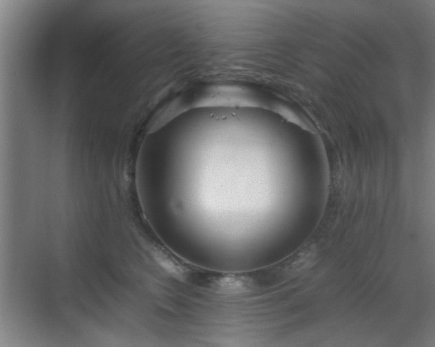 X0000070210566200605261255