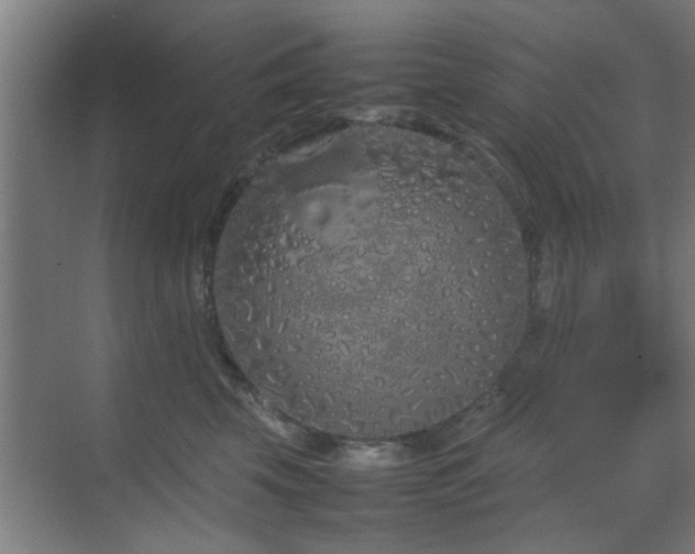 X0000070210569200605261255