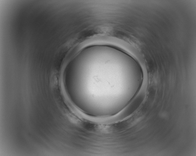 X0000070210570200605261255