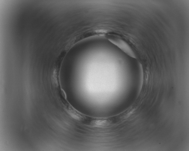 X0000070210575200605261255