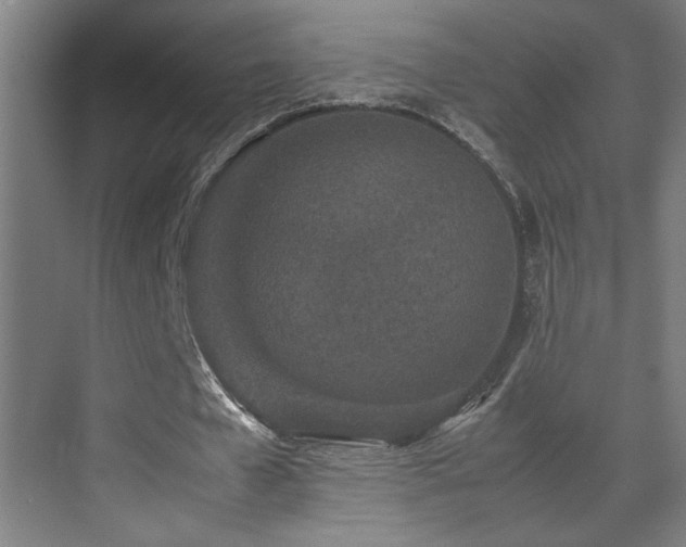 X0000070210577200605261254