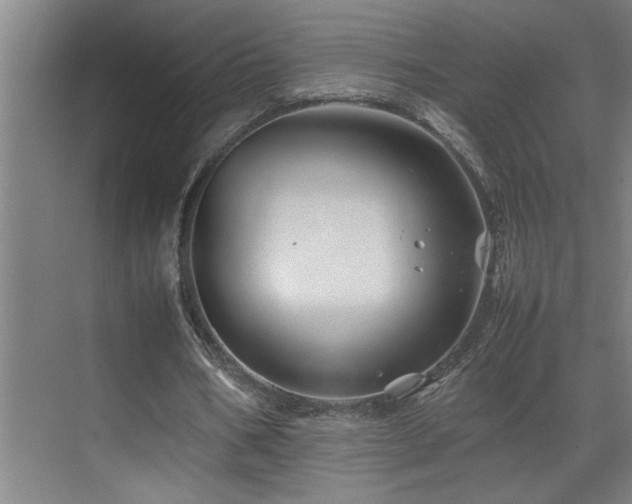 X0000070210578200605261254