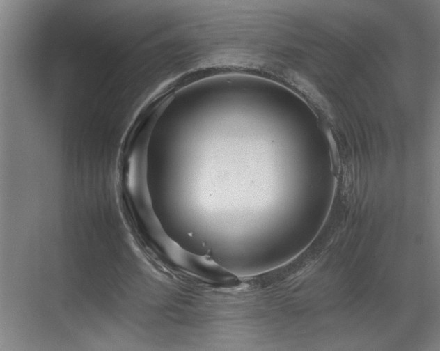 X0000070210580200605261254