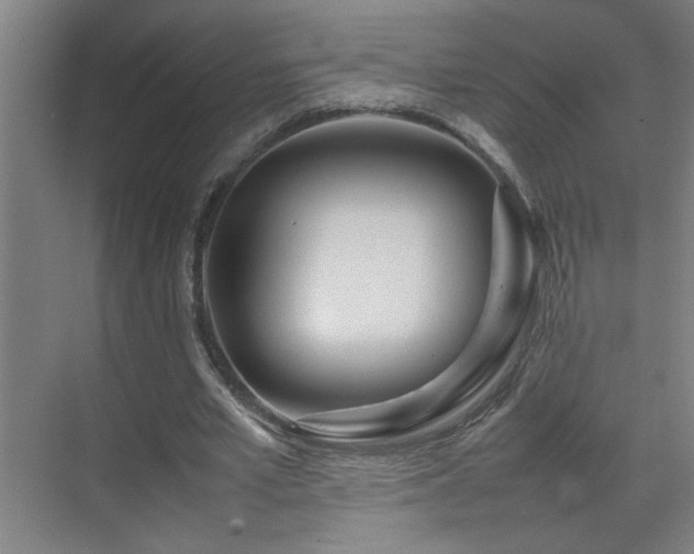 X0000070210581200605261254