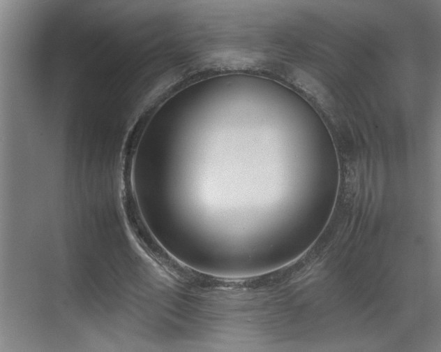 X0000070210582200605261254