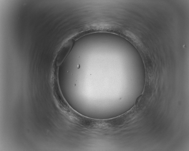 X0000070210583200605261254