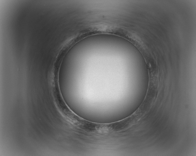 X0000070210587200605261254