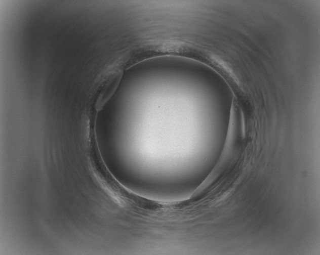 X0000070210589200605261254