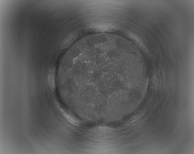 X0000070210590200605261254