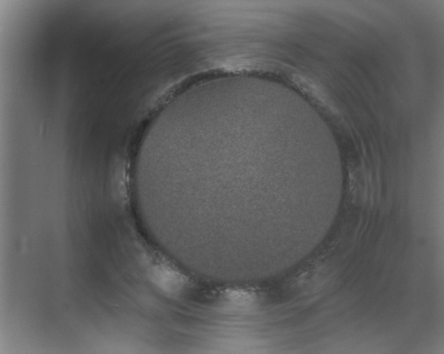 X0000070210592200605261254