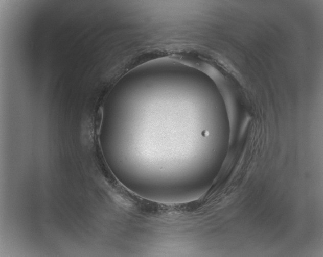 X0000070210593200605261254