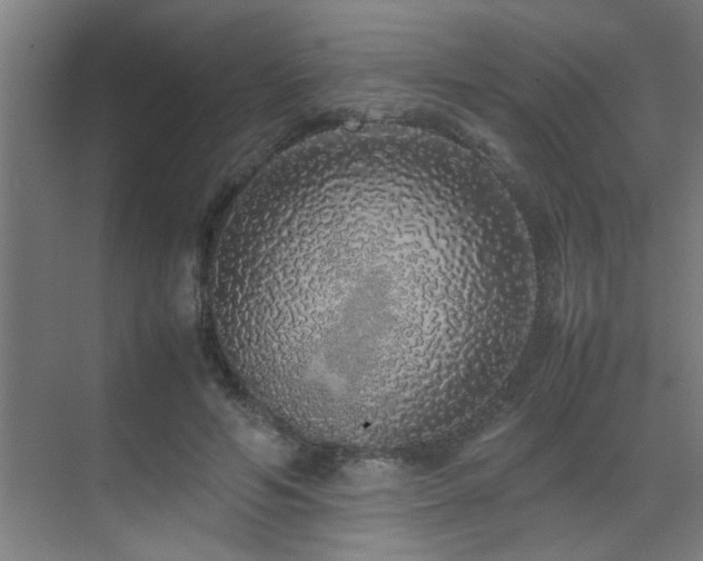 X0000070210594200605261254