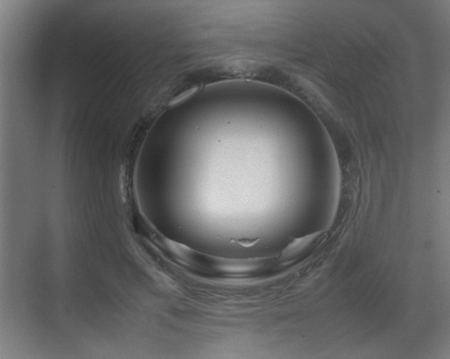 X0000070210597200605261254