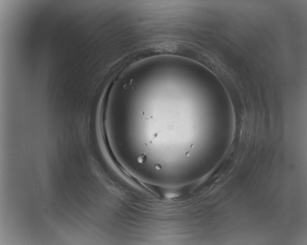 X0000070210600200605261254