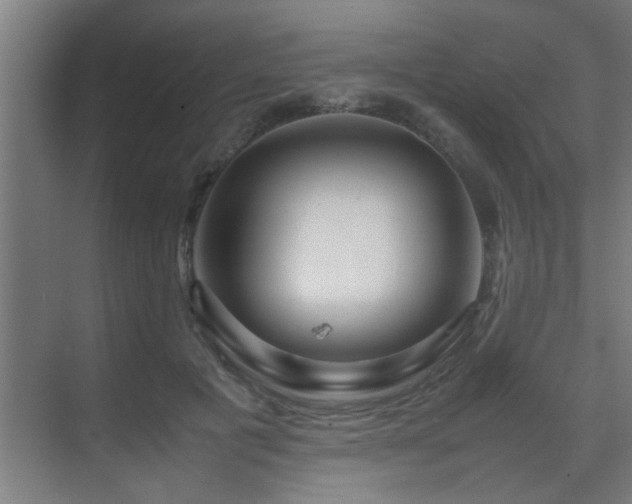 X0000070210601200605261254