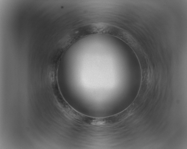 X0000070210602200605261254