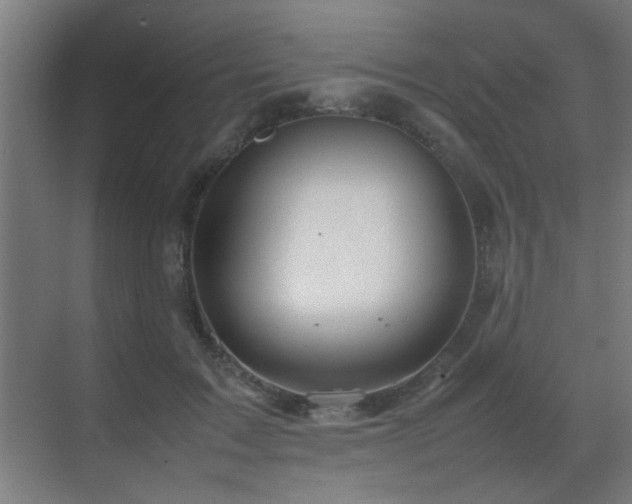 X0000070210603200605261254