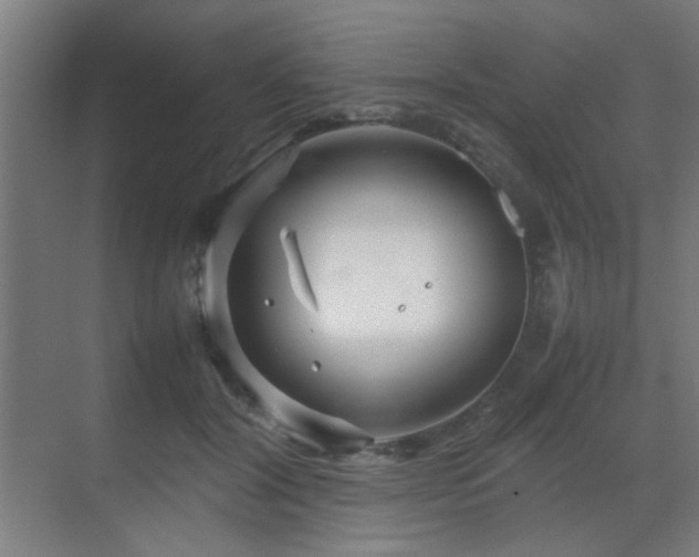 X0000070210604200605261254