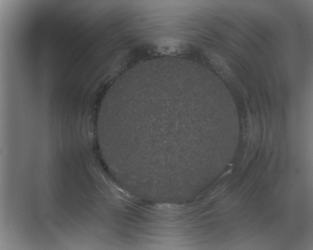 X0000070210606200605261254