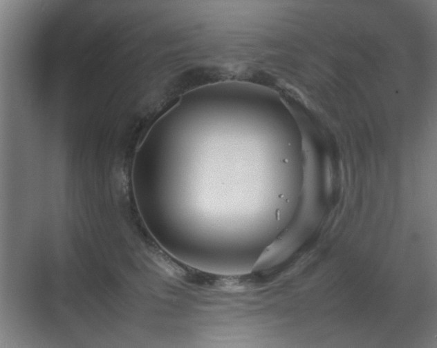 X0000070210613200605261254