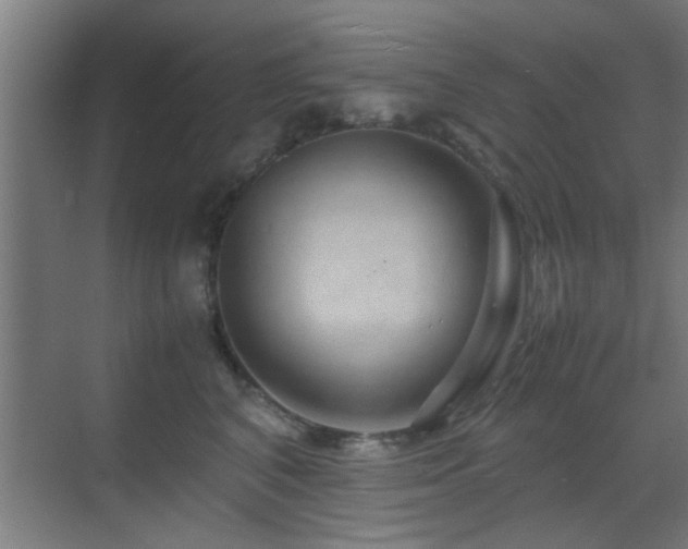 X0000070210616200605261254