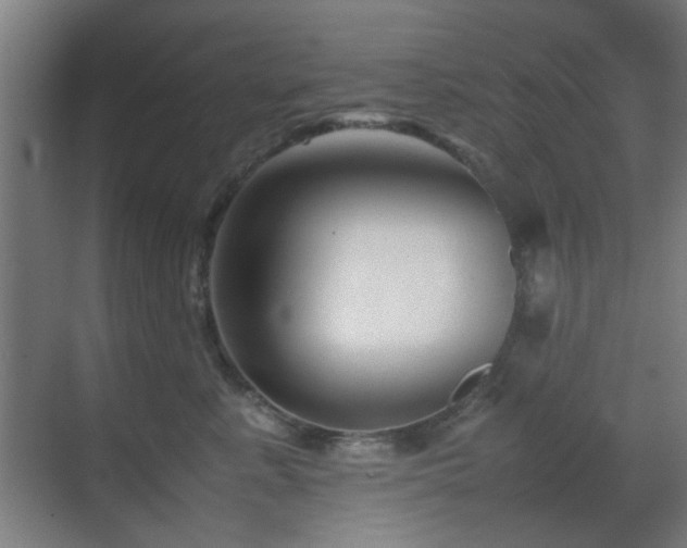 X0000070210619200605261254