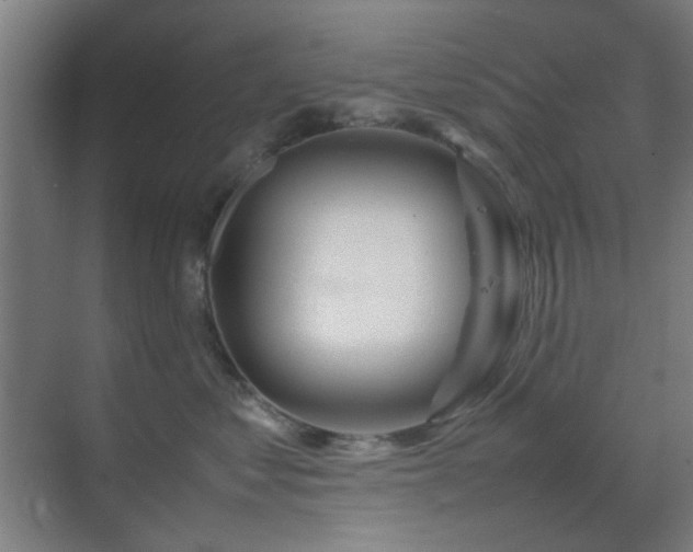 X0000070210621200605261253