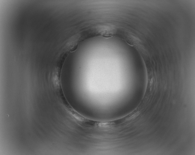 X0000070210622200605261253