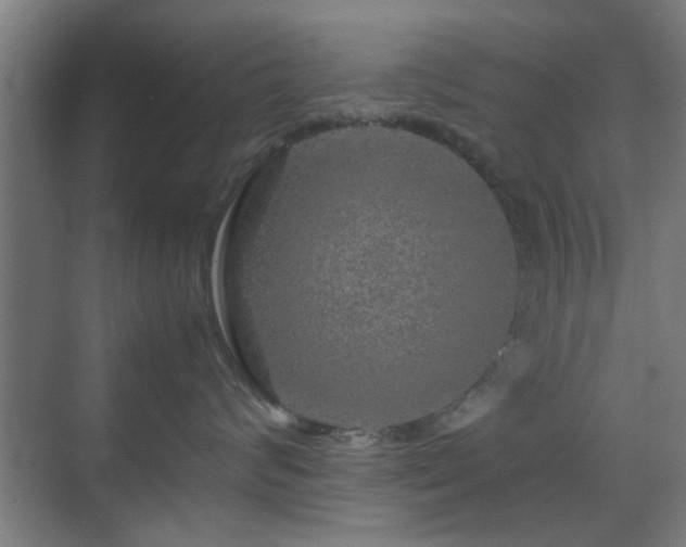 X0000070210624200605261253