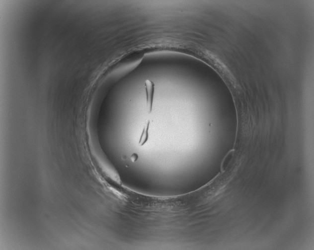 X0000070210625200605261253