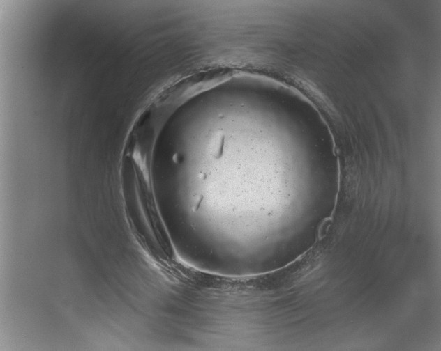 X0000070210626200605261253